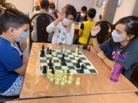 باشگاه شطرنج پهلوان صادق