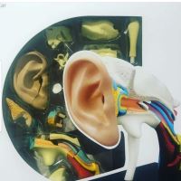 سمعک در اصفهان