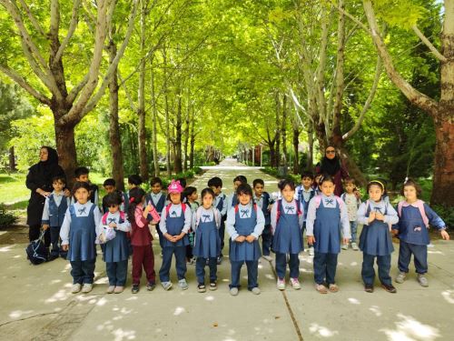 پیش دبستانی باغ جواهر