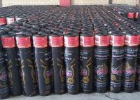 ایزوگام اردکان