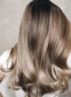 رنگ و لایت کرمان