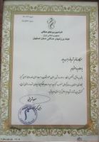 عضو هیئت ورزشهای همگانی