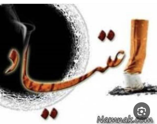 بهترین کمپ شیراز