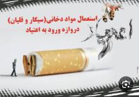 بهترین کمپ شیراز