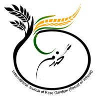 اینستاgholdnroze