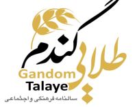 لوگوی نشریه گندم طلائی