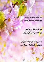 حبیبه محمدی