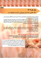 حبیبه محمدی