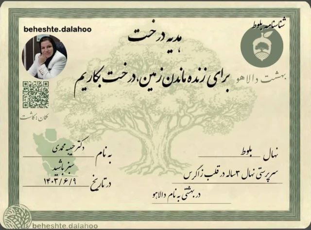 حبیبه محمدی