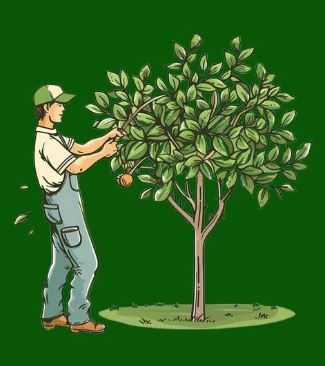 هرس کاری در کرج