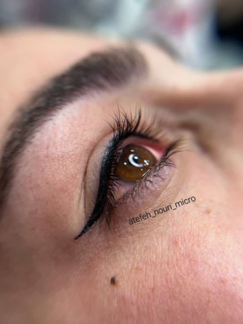 میکروبلیدینگ در شهریار 