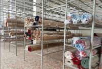 قالیشویی قصر الدشت شیراز