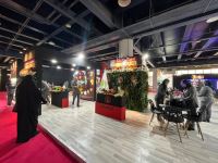 هلدینگ نمایشگاهی غرفه نما