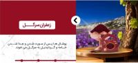 بهترین زعفران خراسان