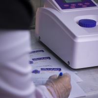 بهترین زعفران خراسان