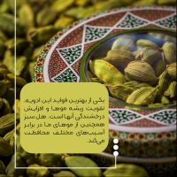بهترین زعفران خراسان