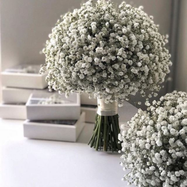 باغ تالار پردیس
