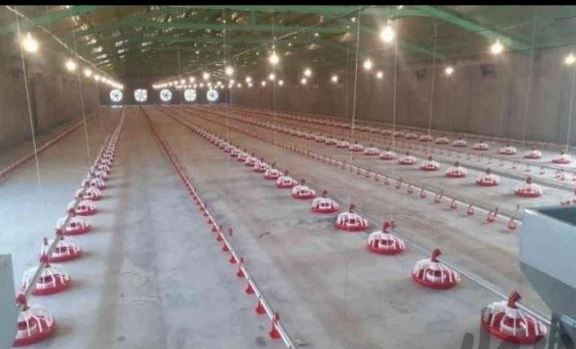 ایران طیور غرب