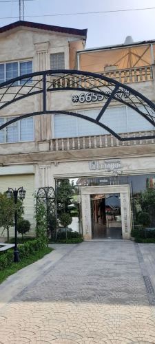 حمیده دمیری