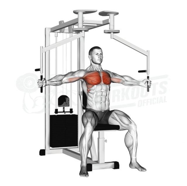 بهترین باشگاه بدنسازی در فلاطوری