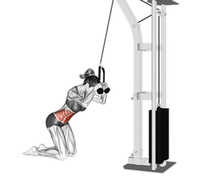 بهترین باشگاه بدنسازی در فلاطوری