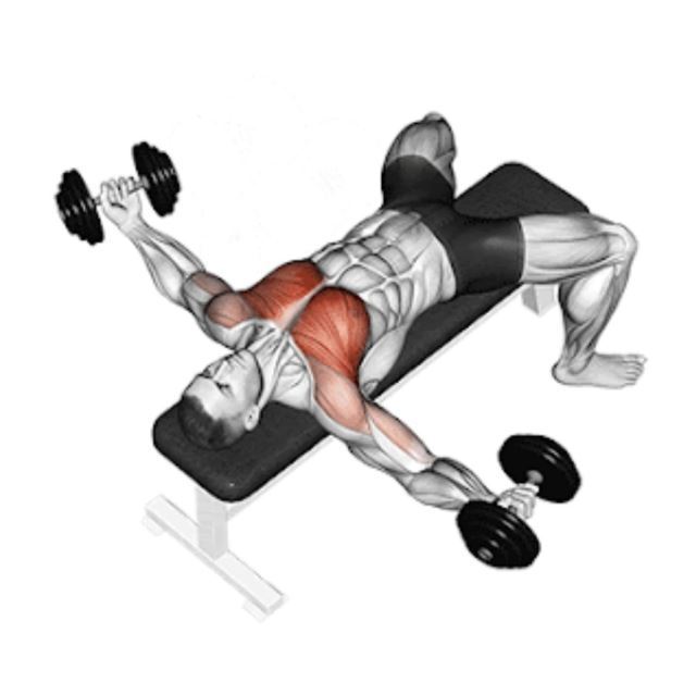 بهترین باشگاه بدنسازی در فلاطوری