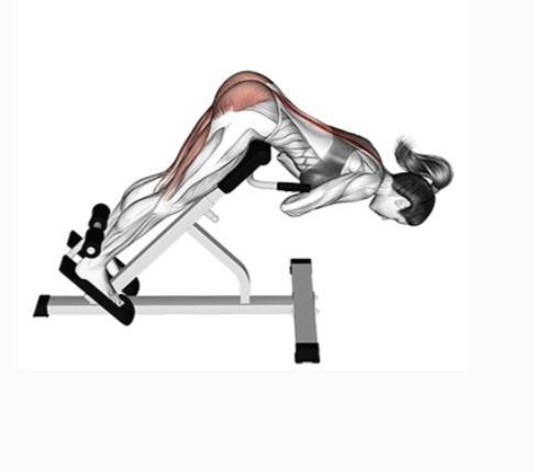 بهترین باشگاه بدنسازی در فلاطوری