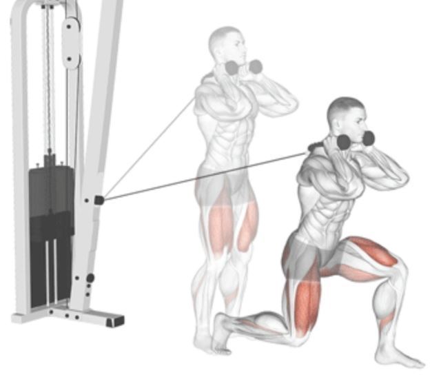 بهترین باشگاه بدنسازی در فلاطوری