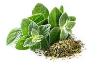 بهترین روغن ارگانیک ایران