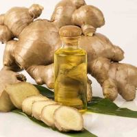 بهترین روغن ارگانیک ایران