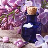 بهترین روغن ارگانیک ایران