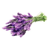 بهترین روغن ارگانیک ایران