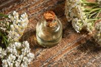 بهترین روغن ارگانیک ایران