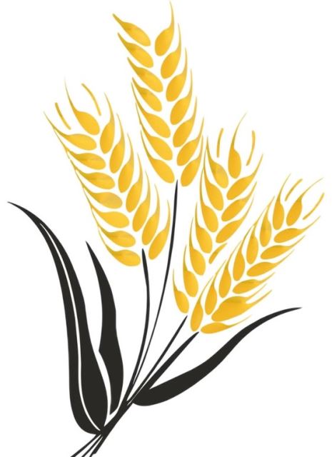 ساخت انواع دستگاه نانوایی 