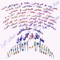 بنیاد توسعه کارآفرینی و تعاون استان البرز/ سعید حشمتی