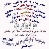 بنیاد توسعه کارآفرینی و تعاون استان البرز/ سعید حشمتی