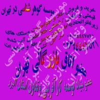 بنیاد توسعه کارآفرینی و تعاون استان البرز/ سعید حشمتی