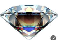 بنیاد توسعه کارآفرینی و تعاون استان البرز/ سعید حشمتی