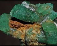 بنیاد توسعه کارآفرینی و تعاون استان البرز/ سعید حشمتی