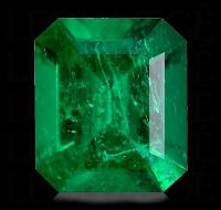 بنیاد توسعه کارآفرینی و تعاون استان البرز/ سعید حشمتی