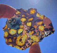 بنیاد توسعه کارآفرینی و تعاون استان البرز/ سعید حشمتی