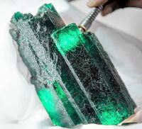 بنیاد توسعه کارآفرینی و تعاون استان البرز/ سعید حشمتی