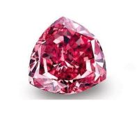 بنیاد توسعه کارآفرینی و تعاون استان البرز/ سعید حشمتی