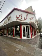 ارزان ترین گل فروشی درگلشهرکرج