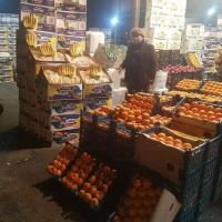 انگور شانی سردشت