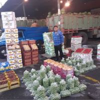 انگور شانی سردشت