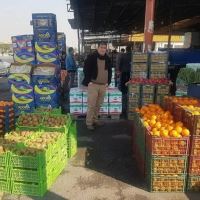 انگور شانی سردشت