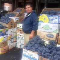 انگور شانی سردشت