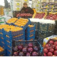 انگور شانی سردشت