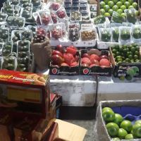 انگور شانی سردشت